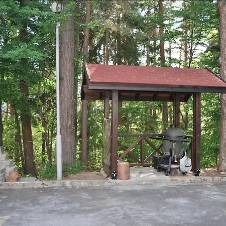 лари б01 Боровец