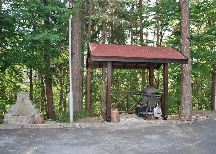 лари б01 Boroveț